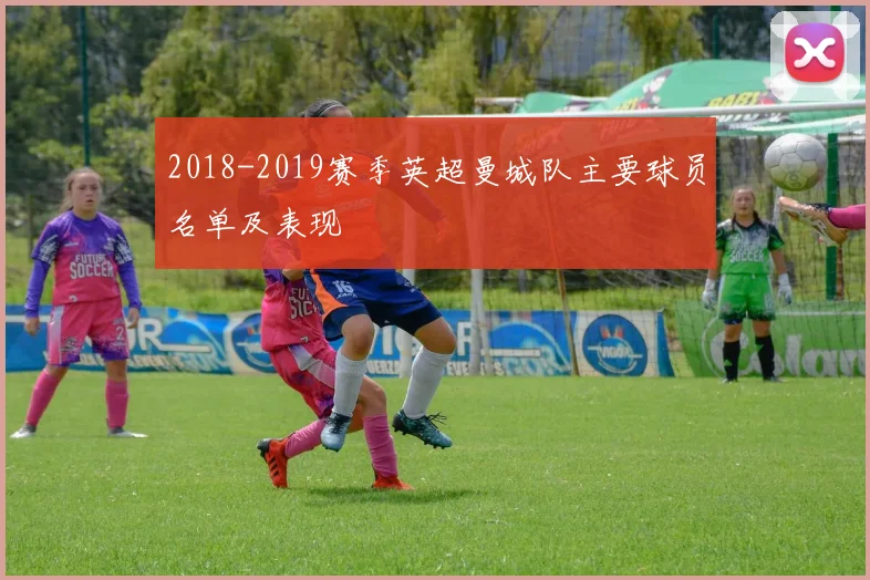 2018-2019赛季英超曼城队主要球员名单及表现