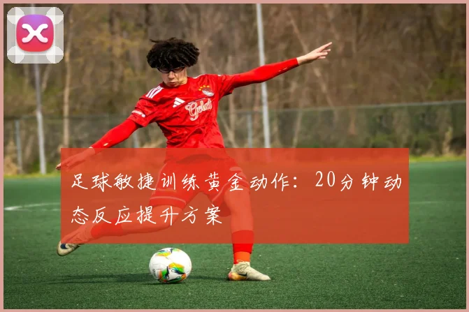 足球敏捷训练黄金动作：20分钟动态反应提升方案