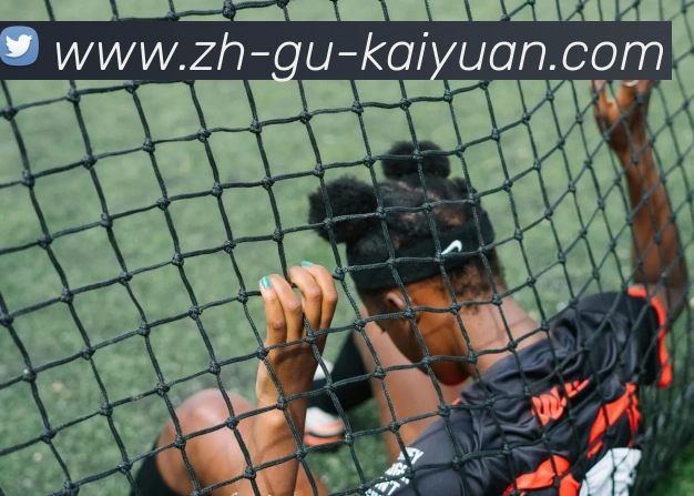 开元棋牌平台生态图